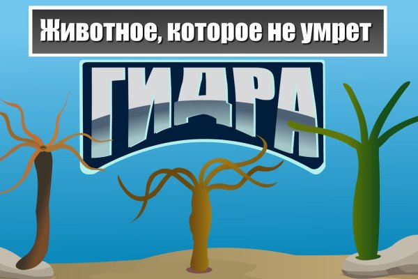 Kraken адрес